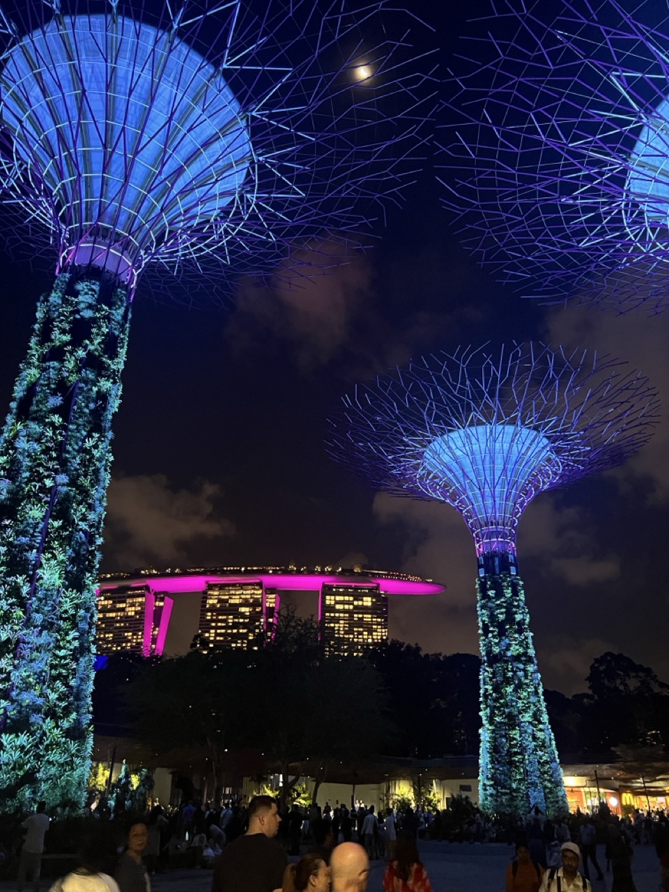 Supertrees illuminated at Gardens by the Bay, Singapore at night.